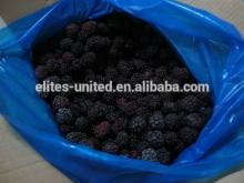blackberry frozen