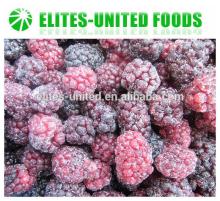 frozen blackberries