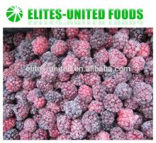 iqf blackberry fruits
