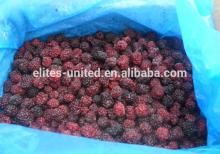 fresh blackberries fruits