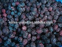 Grade A IQF Blackberry manufacturer from China