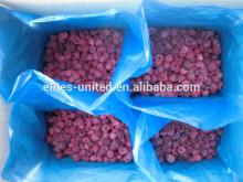 High Quality & Competitive price Frozen Raspberry