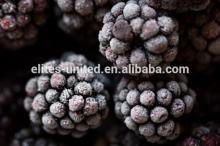 hot sale new season iqf blackberry