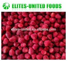 frozen strawberries iqf frozen fruit