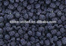 new crop iqf frozen whole blackberry fruit