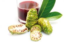 Noni Juice Supplier in India
