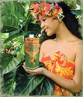  Noni   Juice  Manufacturer in  India ,  Noni   Juice   India ,  Noni   Juice  Supplier for MLM Company Network Mark