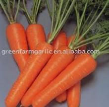 best offer carrot