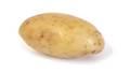 EGYPTIAN POTATOES FOR SALE