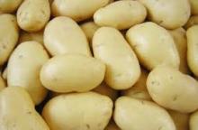 POTATOES FOR SALE