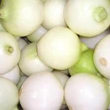 egyption yellow onion