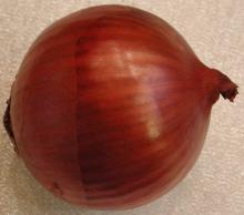 EGYPTIAN RED ONION