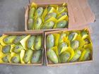FRESH MANGOS