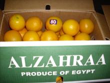 FRESH CITRUS