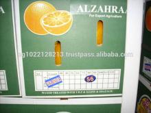 FRESH CITRUS ORANGE