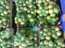 FRESH LEMON(LIME)
