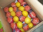 FRESH CITRUS LEMON