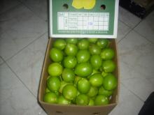 green lemon