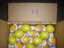 citrus fruit(fresh adalia lemon-lime -orange)
