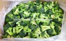 IQF Broccoli