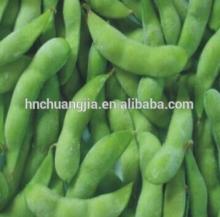 IQF Green Soy beans/Frozen Edamame 2014 New Crop