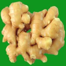 2014 hot selling Fresh Ginger