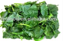 new crop (1-5cm)IQF chinese frozen chopped spinach exported to Korea