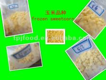 NEW CROP frozen sweet corn kernel
