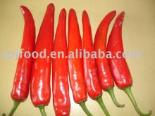 iqf frozen chilli(jinta) with FDA