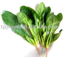 iqf whole spinach (export to Korea)