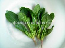 IQF Frozen Spinach