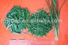 Frozen cut green Leek Pieces