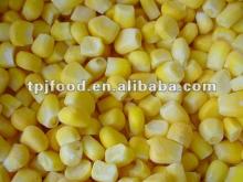 HALAL Food IQF sweet corn kernel