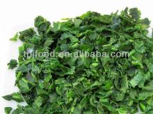 IQF Frozen Spinach Dices