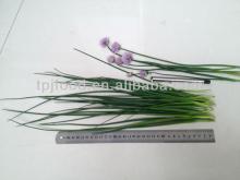 IQF Chive with all certificates approved
