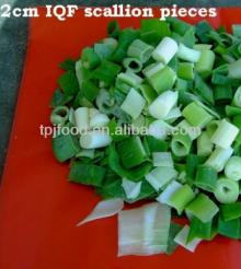 IQF Green Onion with all certificates approved