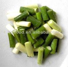 Frozen Spring Onion with BRC/KOSHER/HALLAL/HACCP