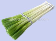 Frozen Scallion with BRC/KOSHER/HALLAL/HACCP