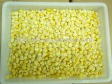 IQF sweet corn kernel