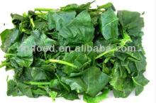 IQF Chinese Frozen Spinach Cut
