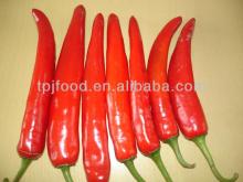 IQF Jinta Chilli