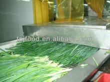 IQF Green Leek