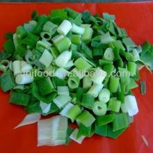  2013   New   Crop  Frozen Scallion with BRC/KOSHER/HALLAL/HACCP