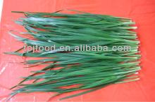 IQF Grade A Leek