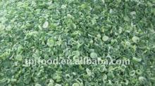 Newly Processed and High Quality(export standard)~5mm IQF frozen scallion pieces with KOSHER/FDA