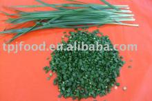 2012hot sell~~newly processed Grade A frozen 5mm leek pieces with FDA/ KOSHER