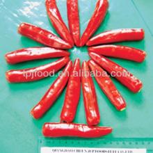 IQF Jinta Chilli/ Red chilli