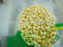 2013 New Crop IQF sweet corn kernels