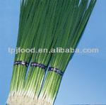 New Crop IQF Scallion