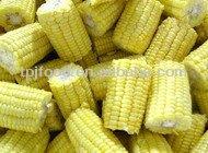 Frozen  Sweet   Cob s with all certificates approved